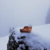 Matterhorn Region 3D Modell aus Massivholz – Bild 8